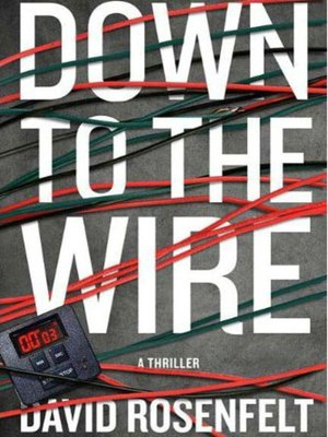 cover image of Down to the Wire